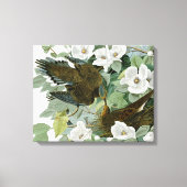 Carolina Pigeon Audubon Morning Dove Canvas Afdruk (Voorkant)