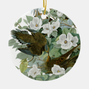 Carolina Pigeon Audubon Morning Dove Keramisch Ornament