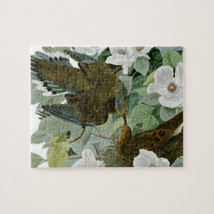 Carolina Pigeon Audubon Morning Dove Legpuzzel