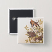 Carolina Pigeon of Mourning Dove Vierkante Button 5,1 Cm (Voorkant /achterkant)