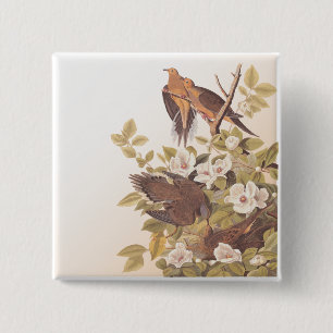Carolina Pigeon of Mourning Dove Vierkante Button 5,1 Cm