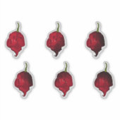 Carolina Reaper Chili Pepper Sticker Set (Voorkant)