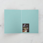 Carolina tissée avec des bleus sur carte plaid (Intérieur)