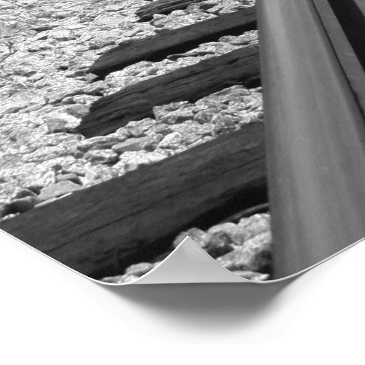 Carolina Tracks Poster (Hoek)