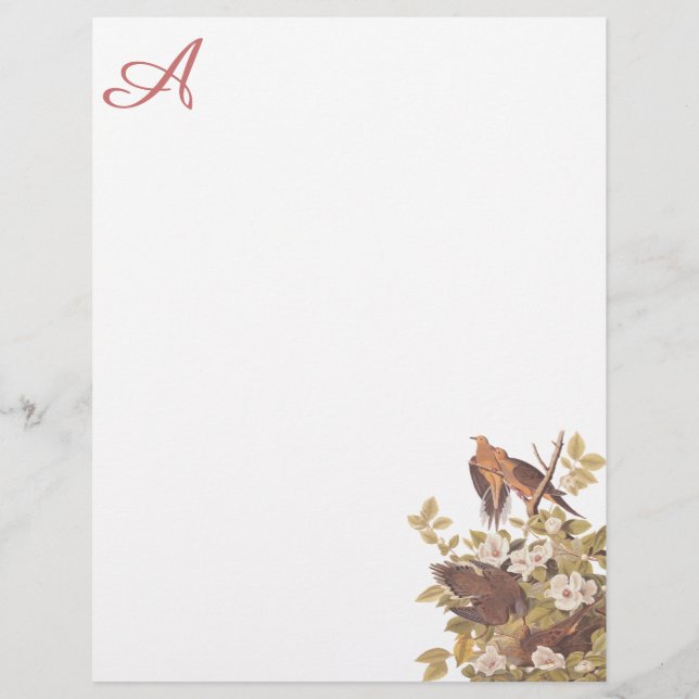 Carolina Turtle Dove Custom Letterhead (Voorkant)