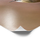 Carolina Wren Bird Foto Afdruk (Hoek)