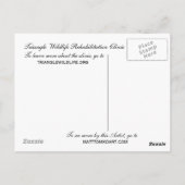 Carolina Wren Briefkaart (Achterkant)