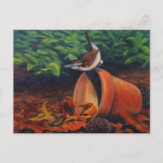 Carolina Wren Briefkaart
