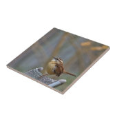 Carolina Wren Ceramic Tile Tegeltje (Zijkant)