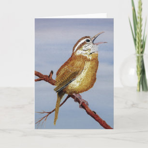 Carolina Wren Greeting Card Kaart