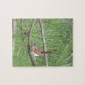 Carolina Wren in Pine Tree Legpuzzel (Horizontaal)