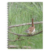 Carolina Wren in Pine Tree Notitieboek (Voorkant)
