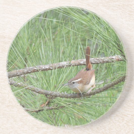 Carolina Wren in Pine Tree Zandsteen Onderzetter (Voorkant)