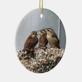 Carolina Wren Keramisch Ornament (Rechts)