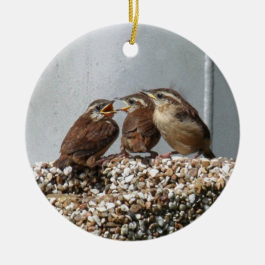 Carolina Wren Keramisch Ornament (Voorkant)