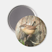 Carolina Wren magnet Magneet (Voorkant / Achterkant)