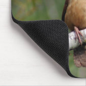 Carolina Wren Muismat (Hoek)