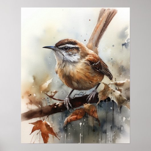 Carolina Wren Oiseau Art Imprimer Poster (Devant)