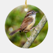 Carolina Wren Ornement (Dos)