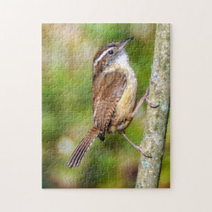 Carolina Wren Puzzle Legpuzzel