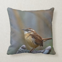 Carolina Wren Sierkussen
