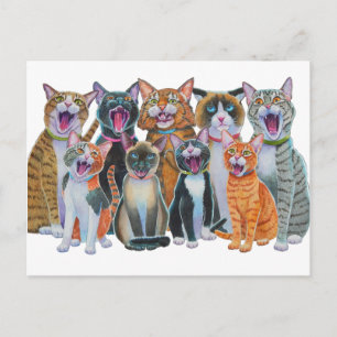 Carolingkatten Briefkaart