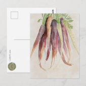Carottes, carte postale 5x7 (Devant / Derrière)