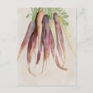 Carottes, carte postale 5x7