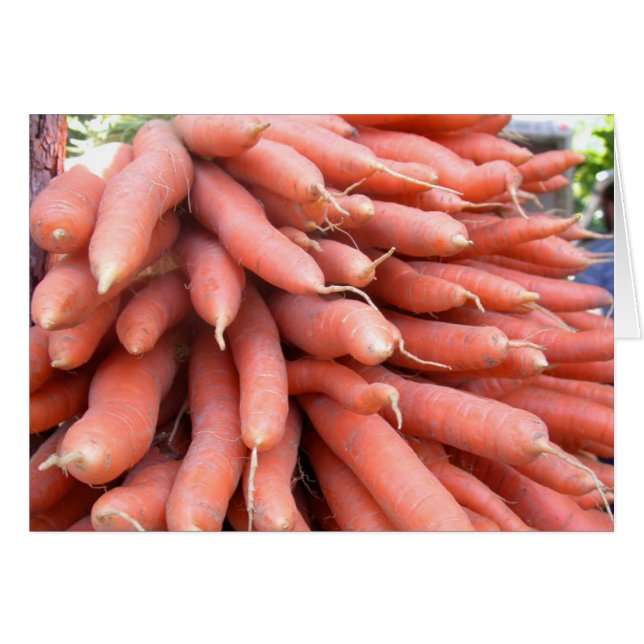 Carottes vierges (Devant horizontal)