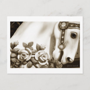 Carousel 13 Carte postale