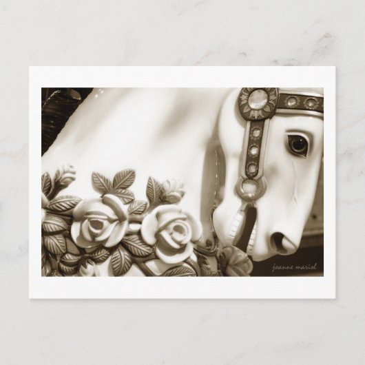 Carousel 13 Carte postale (Devant)