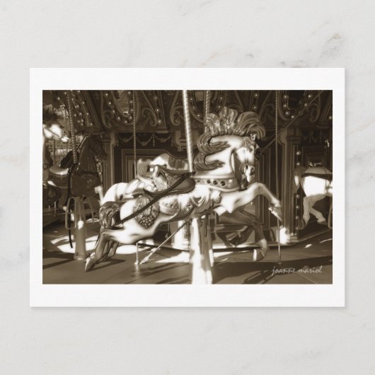 Carousel 14 Carte postale (Devant)