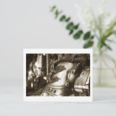 Carousel 24 Carte postale (Debout devant)