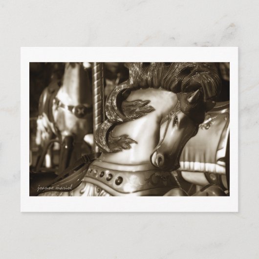Carousel 24 Carte postale (Devant)