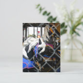 Carousel Briefkaart (Staand voorkant)