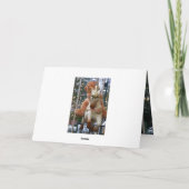 Carousel met Teddy Bear Kaart (Achterkant)