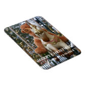 Carousel met Teddy Bear Magneet (Rechterzijde)