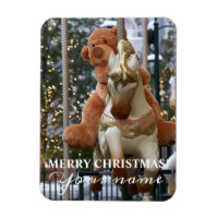 Carousel met Teddy Bear