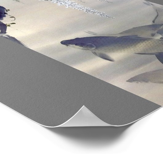 Carp and White Wisteria, Watanabe Seitei Poster (Hoek)