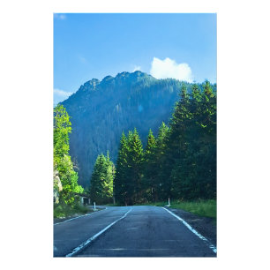 Carpathian Forest Road – Roemeense bergprint Foto Afdruk