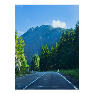 Carpatische Bosweg – Roemenië Bergprint Perfect Poster