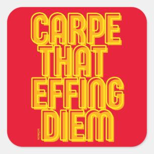 CARPE DIE DIEM FIJT GEEFT, grappige latijncitaat Vierkante Sticker
