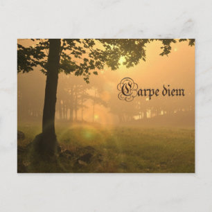 Carpe diem briefkaart