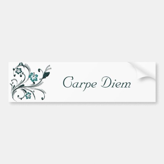 Carpe Diem Bumpersticker (Voorkant)