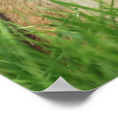 Carpe Diem Chipmunk avec affiche (Coin)