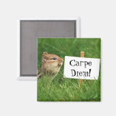 Carpe Diem Chipmunk Magnet (Recto/Verso)