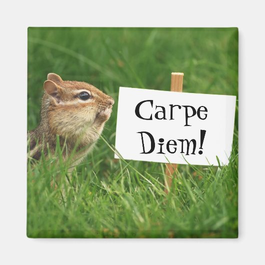 Carpe Diem Chipmunk Magnet (Devant)