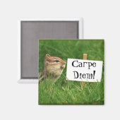 Carpe Diem. Chipmunk met teken Magneet (Voorkant / Achterkant)