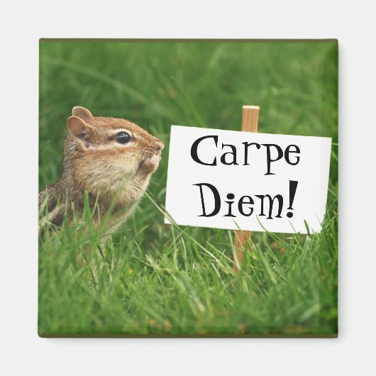Carpe Diem. Chipmunk met teken Magneet (Voorkant)
