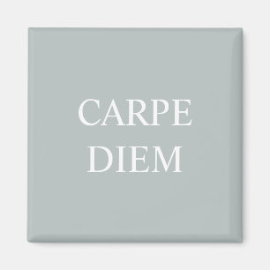 Carpe Diem Latin Quote Magnet Magneet